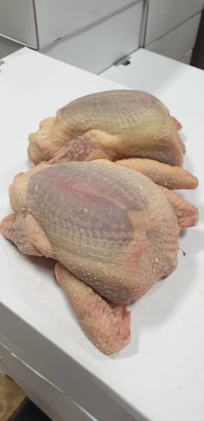 acheter du pigeon halal pour professionnel boucher et restaurant halal à Rouen et Amiens