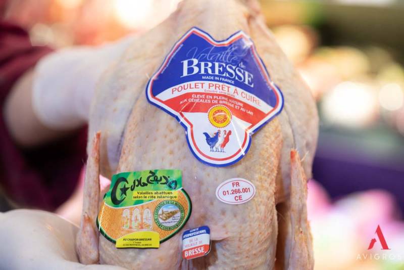 Grossiste de poulet de Bresse Halal