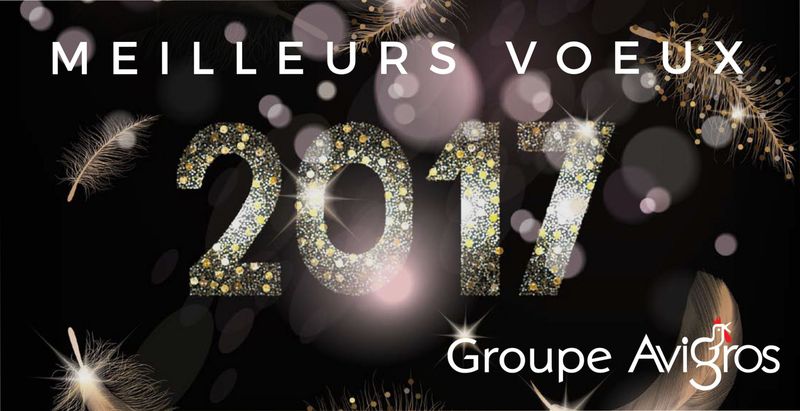 Meilleurs Vœux 2017
