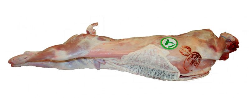 Ou acheter du chevreau Halal à Rungis proche de Paris et partout en France