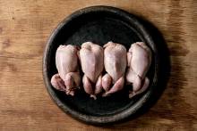 Grossiste en alimentation halal sur Le Havre en Seine-Maritime