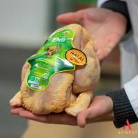 Nasrya Gourmet -  Achat en gros de pilons de poulet halal à Paris en Île-de-France