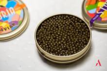 Nasrya Gourmet -  Grossiste spécialisé dans la vente de poulets halal pour supermarchés à Paris en Île-de-France