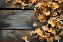 Nasrya Gourmet -  Grossiste viande blanche halal à Paris en Île-de-France